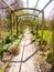 Pergola in the garden in early spring