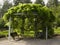 Pergola gazebo in a beautiful garden