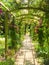 The pergola in summertime overgrown with climbing roses