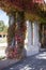 Pergola in Szczytnicki Park on an autumn sunny day, colorful leaves of virginia creeper, Wroclaw, Poland