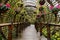 Pergola with wet planked path and suspended flowerpots