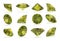 Peridot Diamonds set on White Background