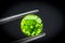 Peridot gemstone.Beautiful round shape gem.Natural Green Sapphire.stone in tweezers.Focus on the center of the image.The