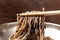 Perilla oil buckwheat noodles seasoned with perilla oil