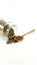 Perilla seed in glass jar with wooden spoon; white background