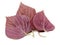 Perilla Shiso Leaf