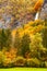 Periodic incredible waterfall in the autumn mountains