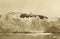 Perito Moreno glacier detail. Patagonian landscape. Argentina