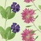 Periwinkle, Aster , Michaelmas daisy. Seamless pattern texture o