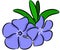 Periwinkle Flower