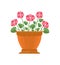 Periwinkle, Flower in Pot Vector Illustration