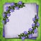 Periwinkle flowers background