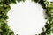 Periwinkle leaves wreath green foliage circle