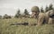 PERM, RUSSIA - JULY 30, 2016: Historical reenactment of World War II, summer, 1942. Soviet soldier with rifle