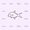 permit icon. Fish icons universal set for web and mobile