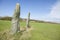 Pernos Feilw Standing Stones in Anglesey