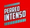 Perreo Intenso, Intense Twerking Spanish text, Latin Party vector design.