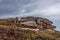 Perros Guirec, Ploumanac`h Lighthouse, Mean Ruz, la Manche, rocks and waves