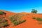 Perry Sandhills at Wentworth, New South Wales in Australia are a relic from prehistoric times