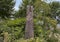 Persephone Unbound by Beverly Pepper, Olympic Sculpture Park, Seattle, Washington, United States