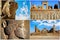 Persepolis is the capital of the ancient Achaemenid kingdom. Sight of Iran. Ancient Persia. Blue sky and clouds background.