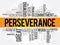 Perseverance word cloud collage