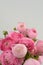 Persian buttercup. Bunch pale pink ranunculus flowers light background