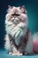 the persian cat adorable sweet very fluffy