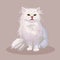 Persian cat. Cat breed. Favorite pet. Lovely fluffy kitten with green eyes. Realistic vector