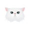 Persian cat face, white cute longhair kitty head on portrait