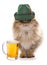 Persian cat wearing bavarian beer festival hat