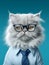 Persian cat wearing black eyeglasses on a blue background. Close-up portrait.