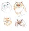 Persian cats in watercolor