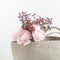 Persian pink buttercup in beige wicker basket on a white background. Copy space