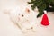 Persian white cate lying near christmas tree