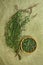 Persicaria hydropiper.Dried. Herbal medicine, phytotherapy medic