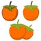 Persimmon color vector icon. Orange kaki fruit icon. Persimmon symbol. A flat vector simple element of sharon illustration,