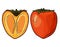 Persimmon. Delicious Oriental fruit. Bright orange fruit in a simple cartoon style.