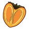 Persimmon. Delicious Oriental fruit. Bright orange fruit in a simple cartoon style. Food of the gods.