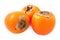 Persimmon fruit