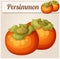 Persimmon fruit. Cartoon vector icon