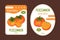 Persimmon fruit dried slices natural organic product labels set. Eco food packaging design layout cartoon vector