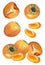 Persimmon fruit. whole and slices of persimmons. decorative poster, emblem natural product, farmers market. Digital