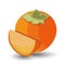 Persimmon, kaki or sharon fruit vector icon.