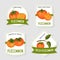 Persimmon natural organic product labels set. Eco fresh food packaging design layout cartoon vector