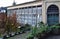 A persimmon plant with wonderfully colored leaves and the ancient and very beautiful greenhouse in the Boboli garden in Florence.