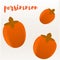 Persimmon or sharon. Flat style. Vector illustration