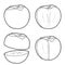 Persimmon Vector Illustration Hand Drawn Fruit Cartoon Art