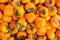 Persimmons fruit background.