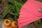 persimmons fruit with red envelopes, Chinese New Year.